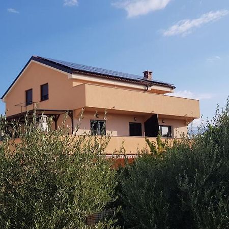 Apartmani ZEM, Krk Krk Town Bagian luar foto